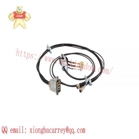 ABB Robotic Solutions: IRB6600 & IRB4600 Series, Advanced Automation Modules