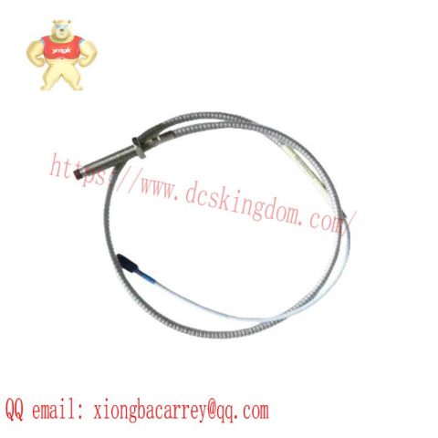 Bently Nevada 22810-00-06-10-02 | 3300 XL 8 mm Proximity Probes