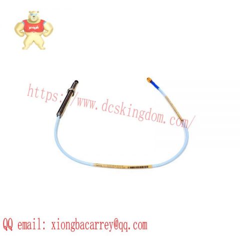 Bently Nevada 330101-00-30-10-02-00 | 3300-XL-8MM NSMP Module