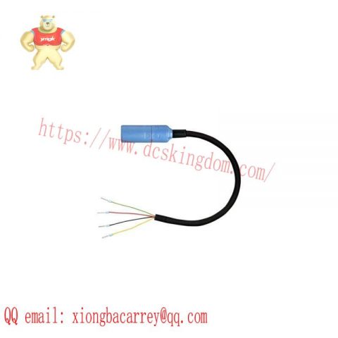 Endress+Hauser CYK10-A201 Measuring Cable - Precision Instrument for Industrial Control