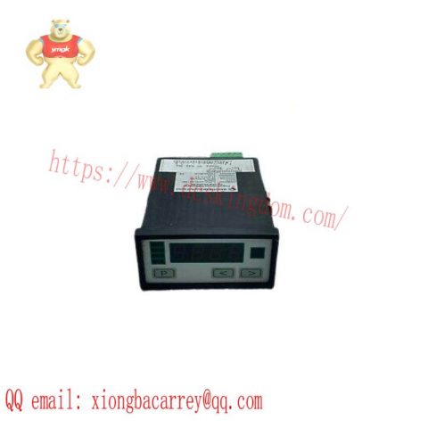 Negele Process Display DPM-GS-2GW-S Digital Display