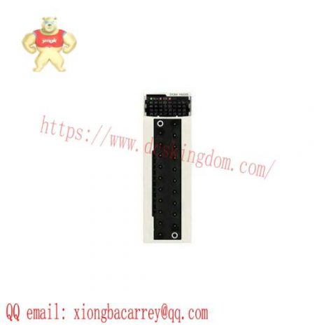 Schneider Modicon X80 Discrete Mixed IO Module - BMXDDM16025