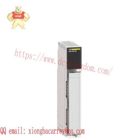 Schneider 140CHS11000 - Hot Standby Module, Schneider Electric's Advanced Control Solution