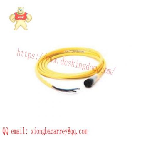 SIEMENS 889N-U3AF-12F Mini Straight Cord - Advanced Industrial Control Module