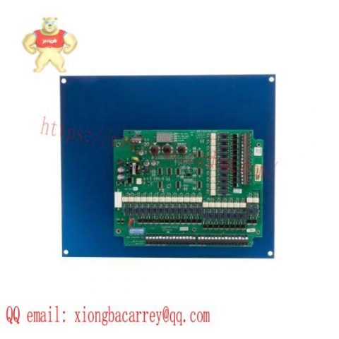 AMETEK DNC-T2032-B10 AC Input: Precision Control Module for Industrial Automation