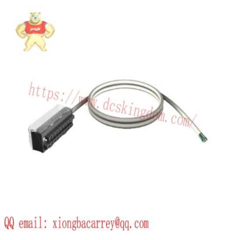 Schneider Electric BMXFTW1001: High-Performance Discrete I/O Cable, 10m