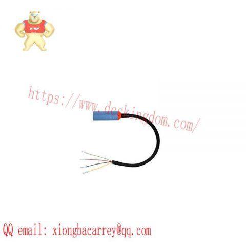E+H CYK10-G101 Digital Measuring Cable - Precision Measurement Solution for Industrial Automation