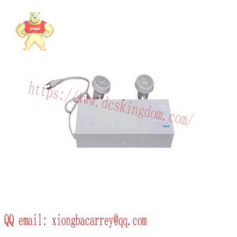 Beghelli Nova NV636/2SR9W Emergency Light Battery Unit, High-Efficiency Standby Power Solution