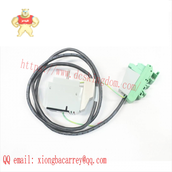 foxboro_p0800dc_isolator_cable.png FOXOBORO P0800DC Isolator Cable