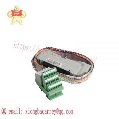 FOXBORO P0916AW System Module for Industrial Control Applications