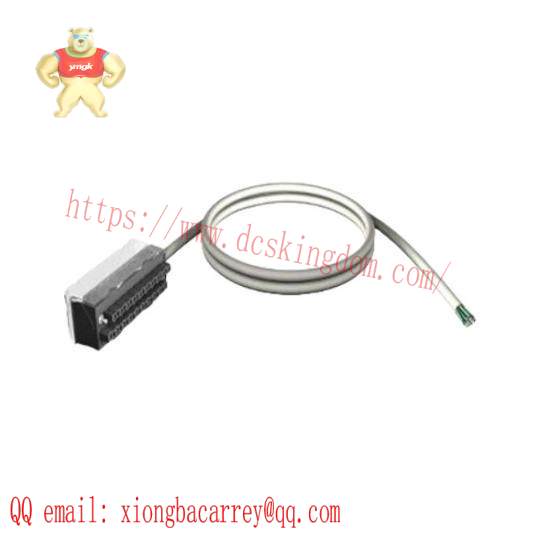 bmxftw1001_discrete_i_o_cable_10m_schneider_electric.jpg Schneider Electric BMXDDI1602H Digital Input Module for Harsh Environments